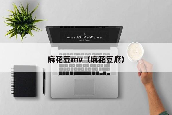 麻花豆mv(麻花豆腐)