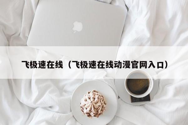 飞极速在线(飞极速在线动漫官网入口)