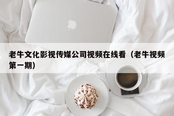 老牛文化影视传媒公司视频在线看(老牛视频第一期)