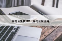 麻花豆免费MV（麻花豆腐图片）