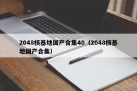 2048核基地国产合集40（2048核基地国产合集）