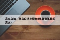 高义白洁（高义白洁小说txt无弹窗笔趣阁高义）