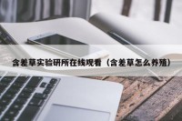 含差草实验研所在线观看（含差草怎么养殖）